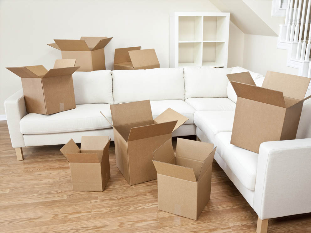 Furniture removals services